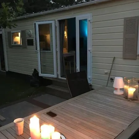 Veluwe, Gezellig 4p Bij Bos, Zonnige Tuin Chalet *