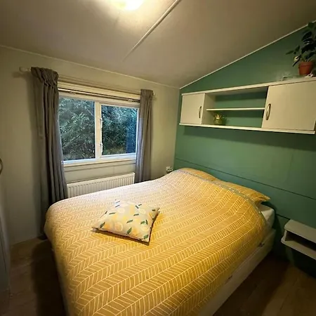 Veluwe, Gezellig 4p Bij Bos, Zonnige Tuin Chalet