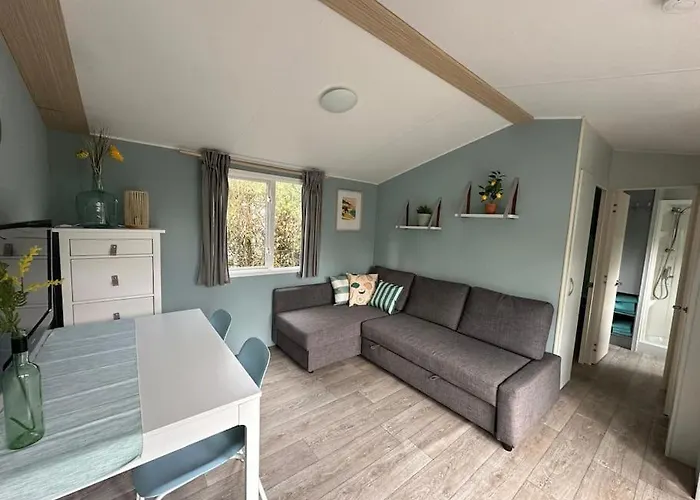 Veluwe, Gezellig 4p Bij Bos, Zonnige Tuin Chalet