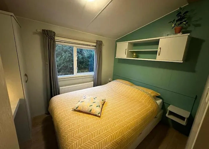 Veluwe, Gezellig 4p Bij Bos, Zonnige Tuin Chalet