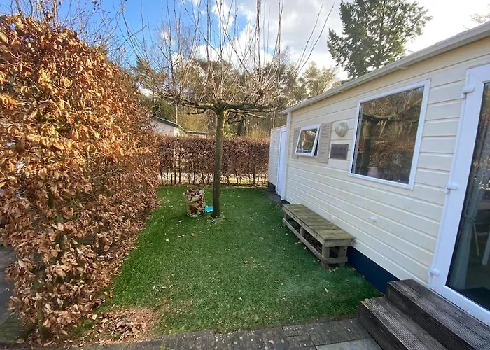 Alpesi faház Veluwe, Gezellig 4p Bij Bos, Zonnige Tuin *